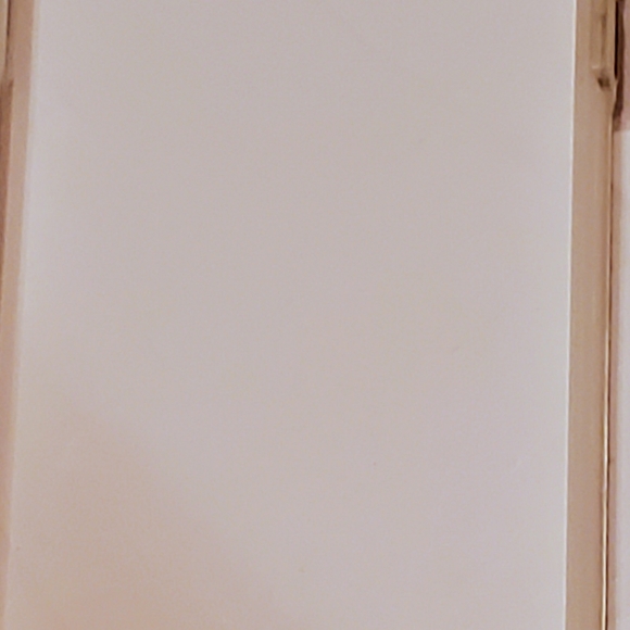 Real flower iPhone Xl/Xs case! - Picture 9 of 12